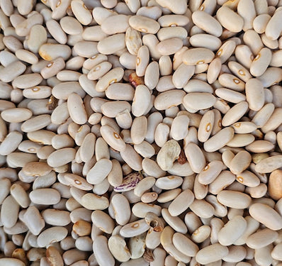 Hetha Himalayan White Rajma